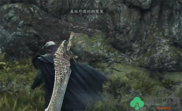 龙之信条2狮鹫巢有什么_龙之信条2狮鹫巢物品介绍